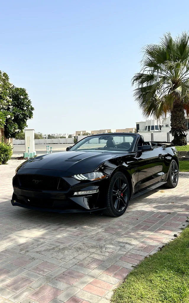 Ford Mustang GT Premium63169445623043112