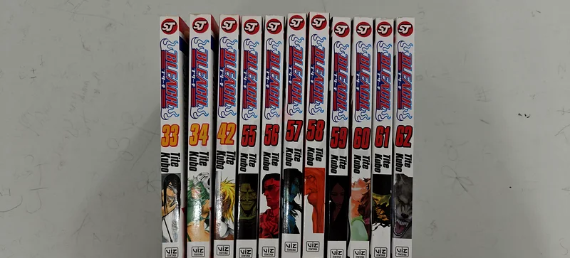 مانجا بليتش (33-34، 42، 55-62)63223849893890111