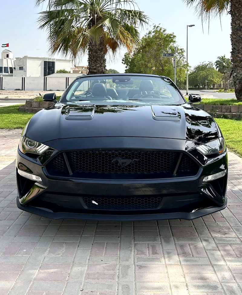 Ford Mustang GT Premium63169445623043111