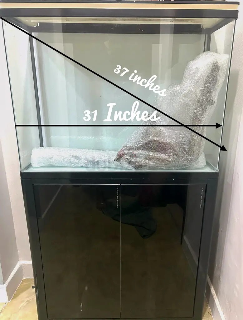 Stylish Black Aquarium for Sale