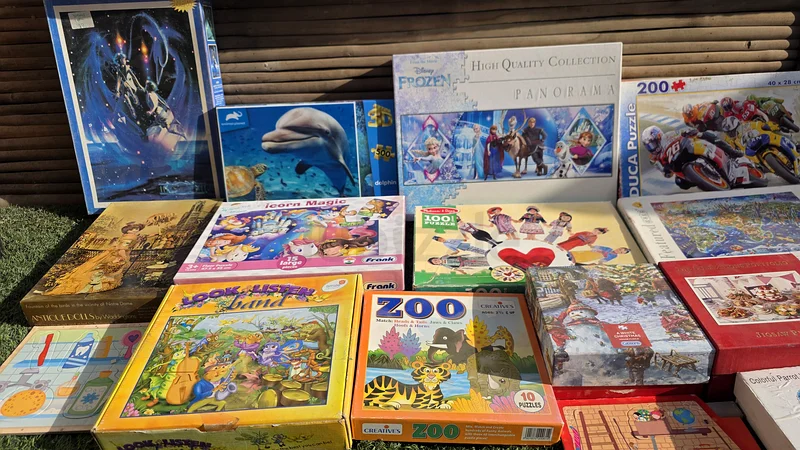 Assorted Puzzles Collection - Fun for All Ages!632078894507541128
