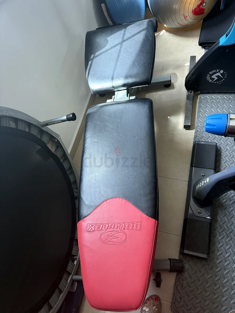 Versatile Adjustable Bowflex Workout Bench for Your Home Gym!63170412951554111