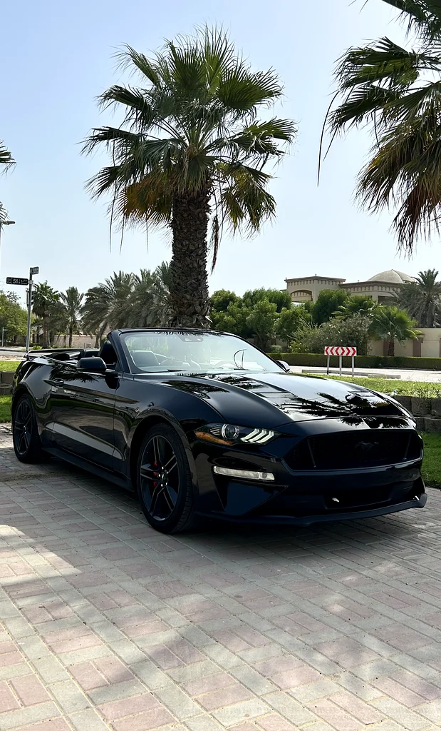 Ford Mustang GT Premium631694456230431128