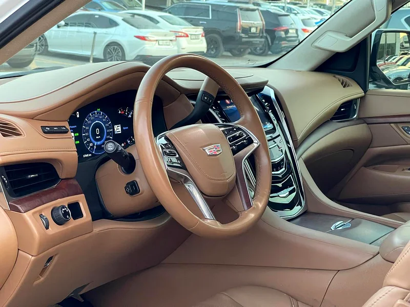 360 Camera// H D Displays// PLATINUM//Airbag Agency63176618796803114