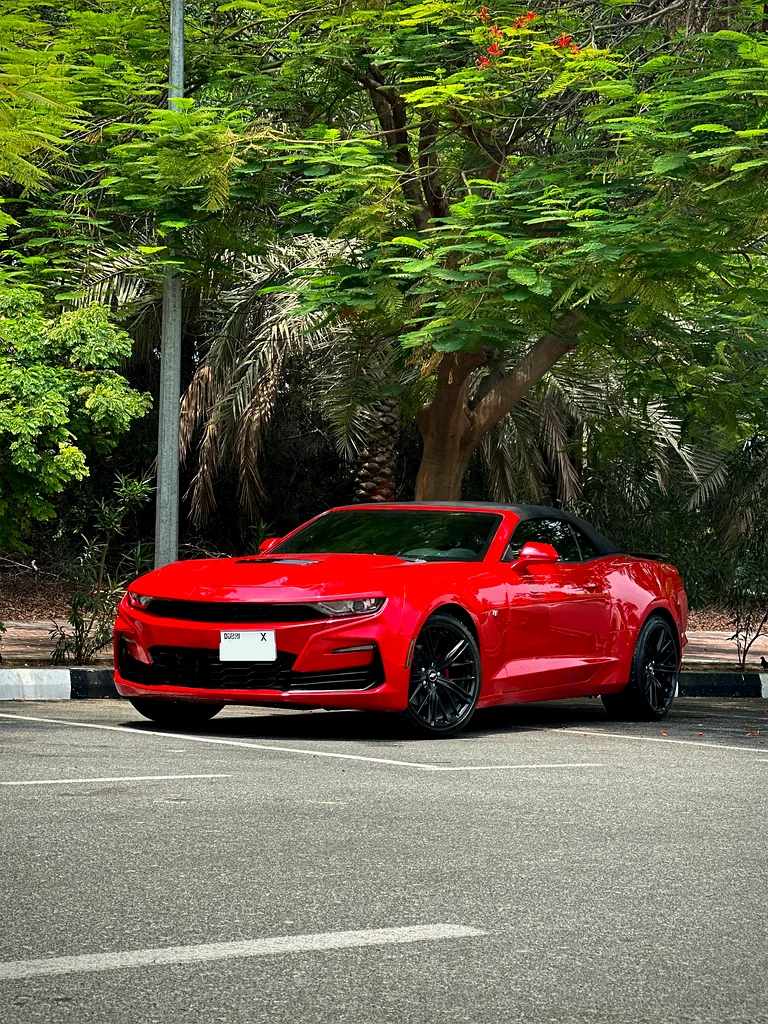 SS FACELIFTED // WELL MAINTAINED// LADY DRIVEN63172650460034110