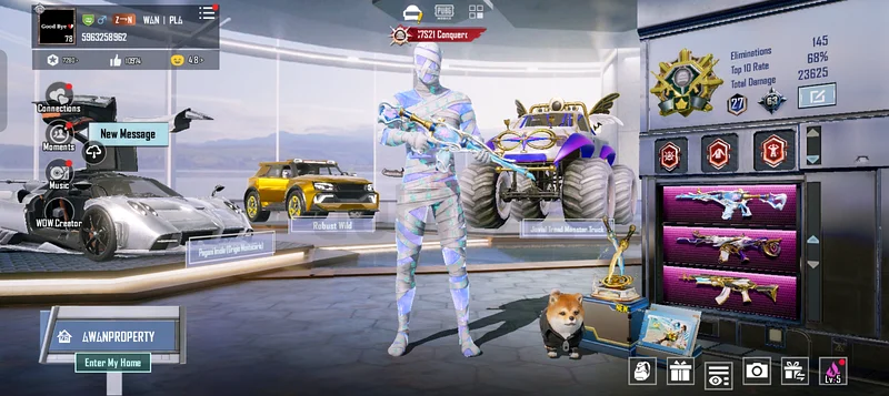 PUBG Mobile Account
