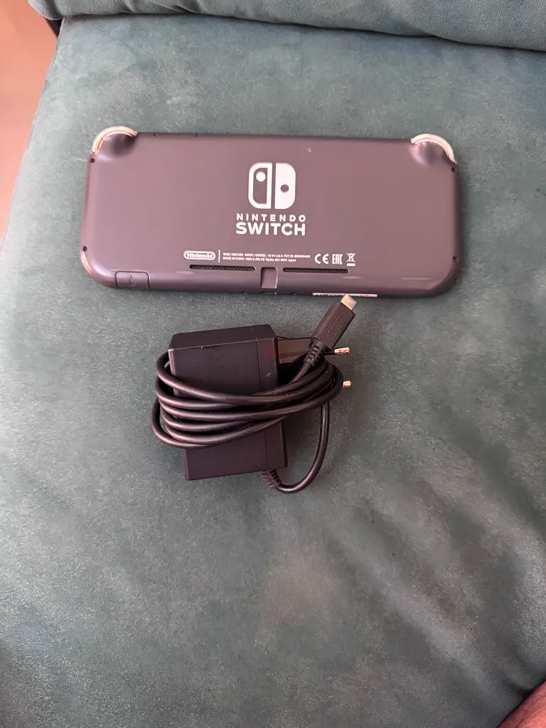 Nintendo switch lite63228827496835114