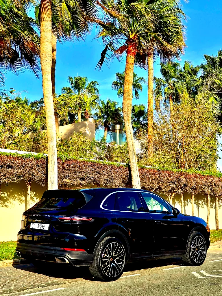 Porsche Cayenne Standard63150022792321112