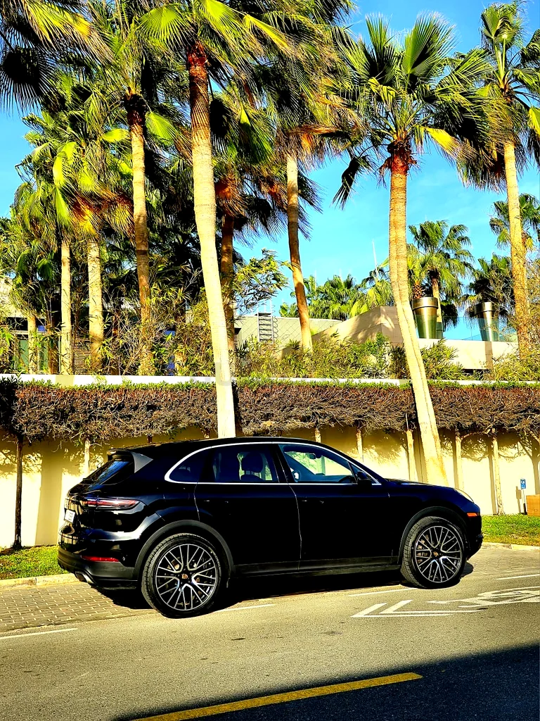 Porsche Cayenne Standard63150022792321114