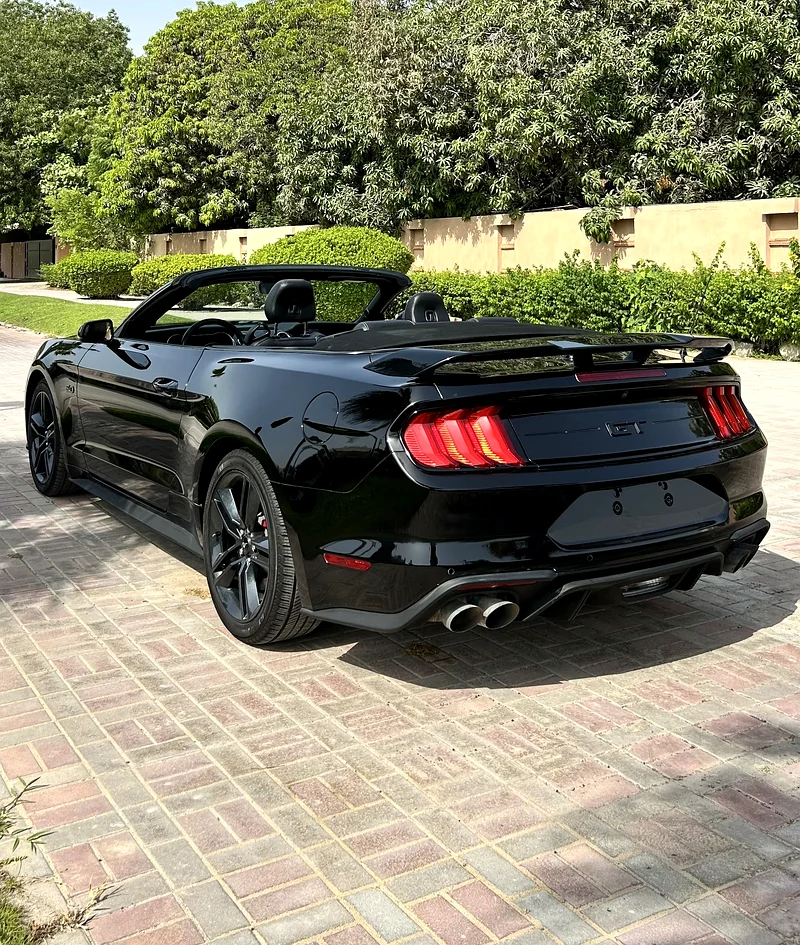 Ford Mustang GT Premium63169445623043114
