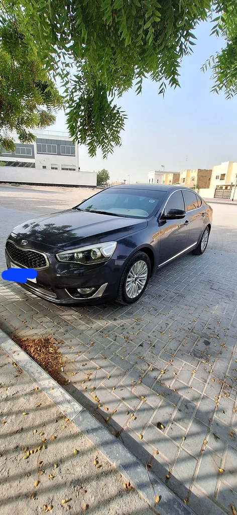 Used car Kia Cadenza 2015.63155551761666118