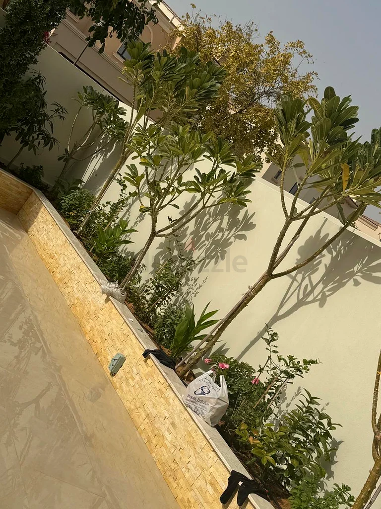 Best gardening63441840103553112