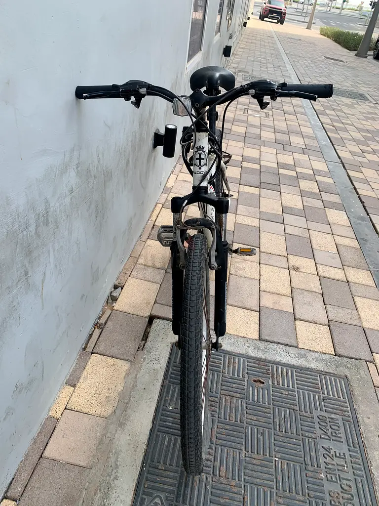 Bicycle63245715826434112