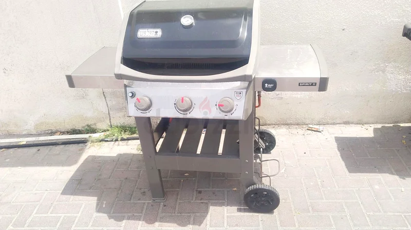 شواية وبر63252436593537111