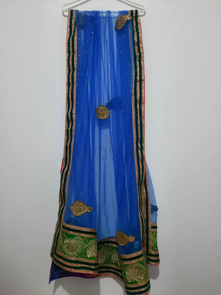 Lehenga dress63239080662018113