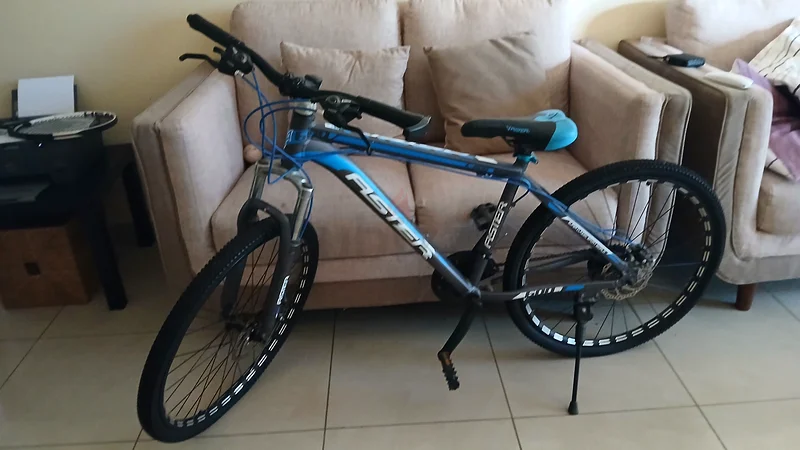 Aster 600 Bicycle63169471254019111