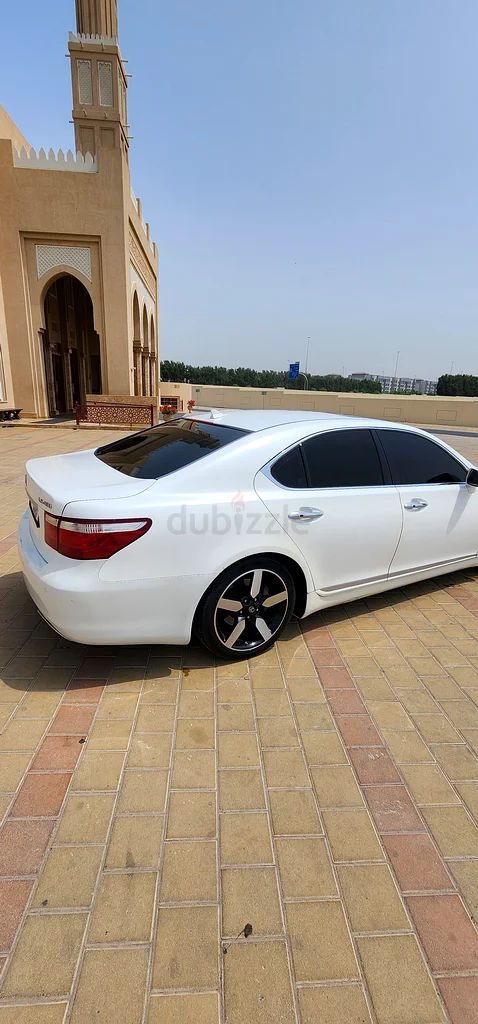 Al-Qasees63169917775106112