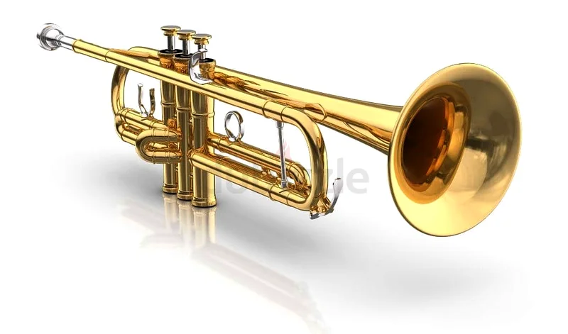 Brass Baritone for Sale - Perfect Condition!63227805077379114