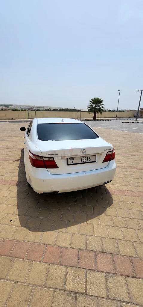 Al-Qasees63169917775106111