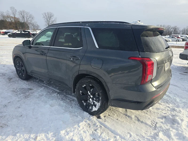 Palisade 2024631703876491551124