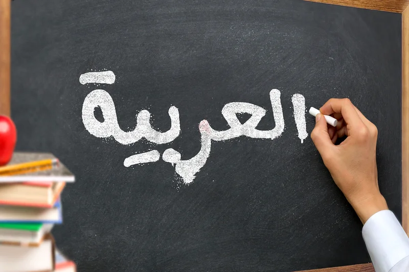 تعلم العربية مع معلم أصلي!63218322735107113