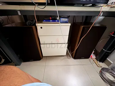 Diatone High-end speaker DS-66z