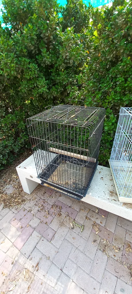 birds cage63233129104898113