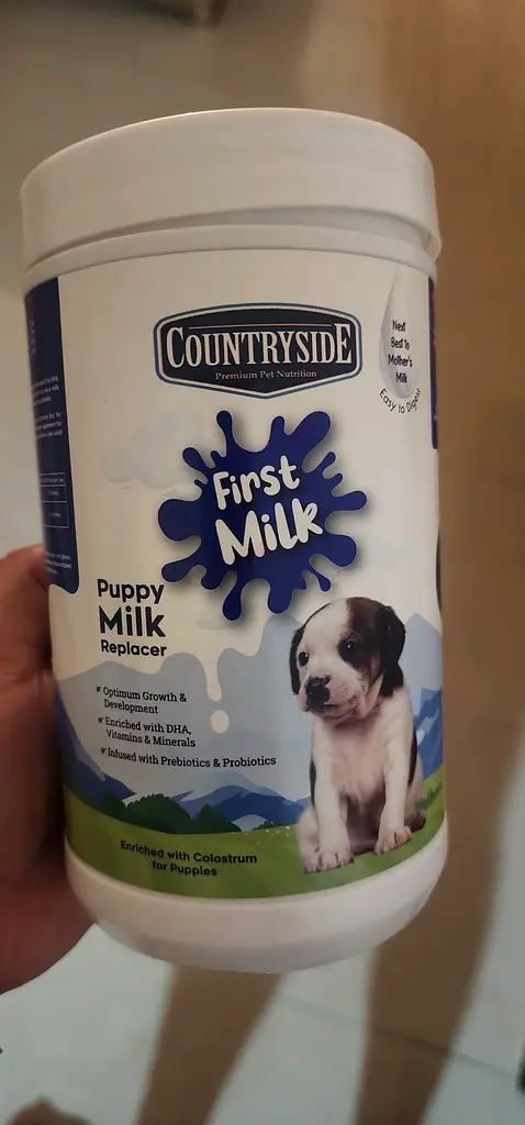 Dog food