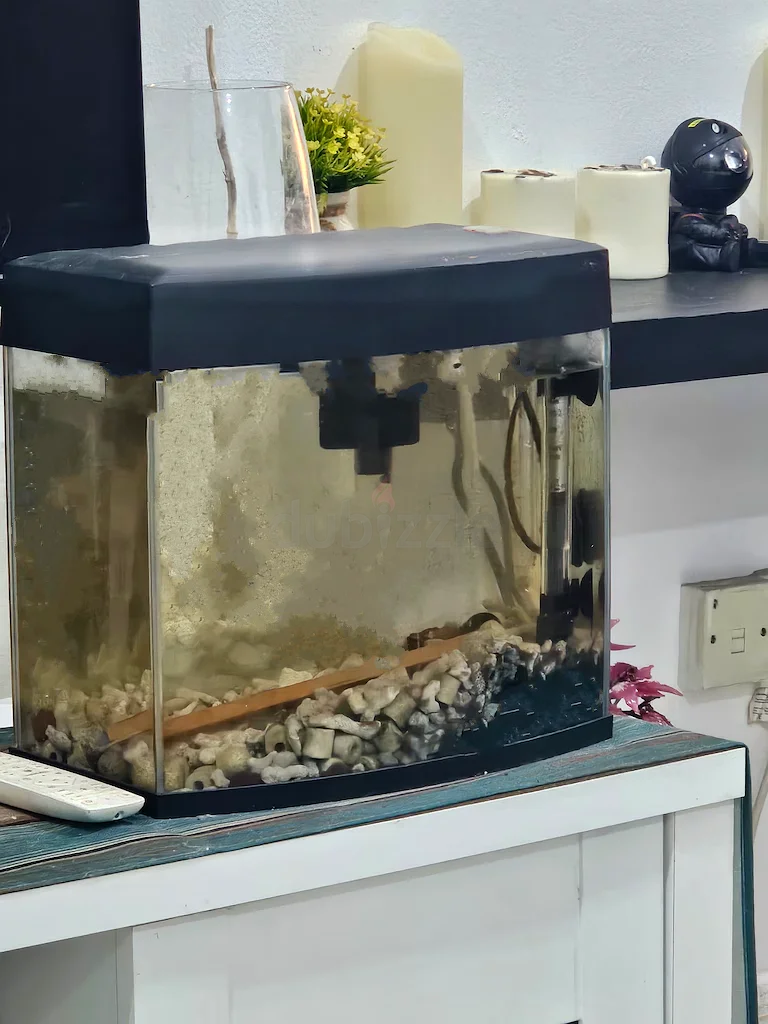 Aquarium With Full Accessories63233126970755111