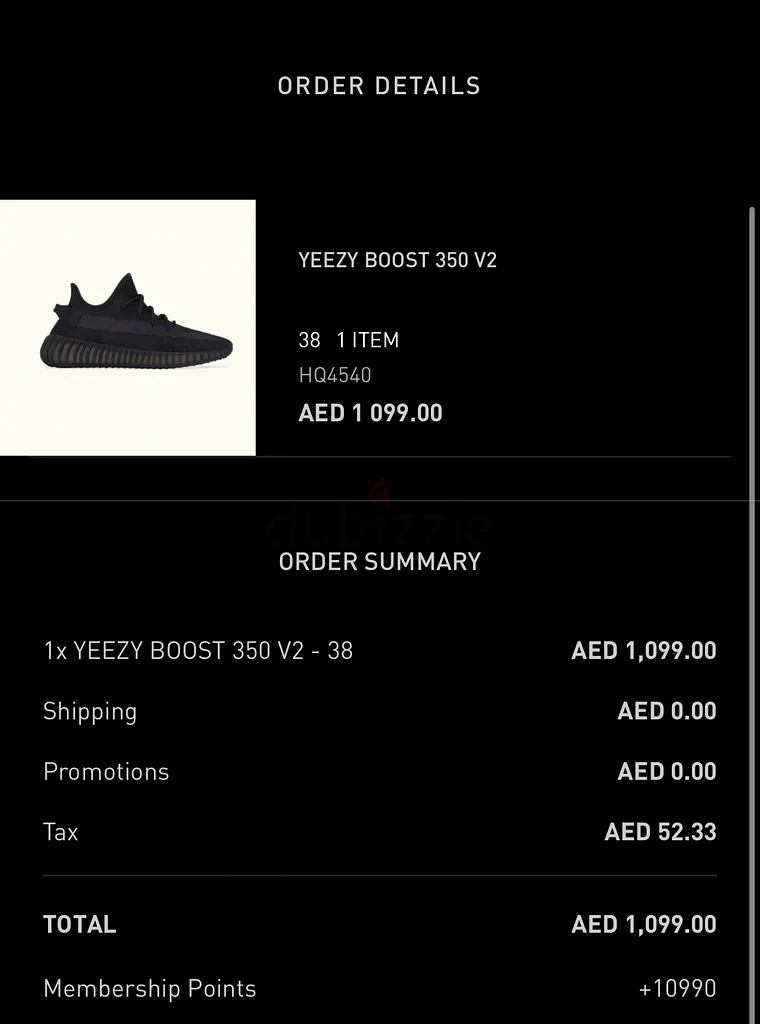 YEEZY BOOST 350 V263170859969154113