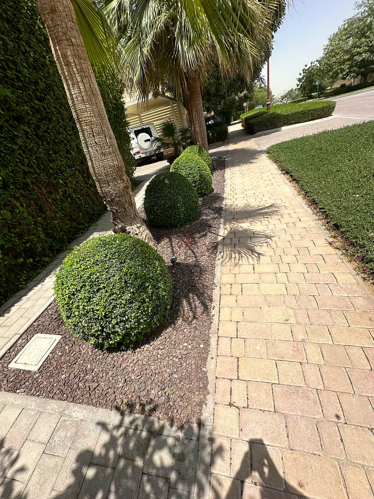Garden63441099918339113