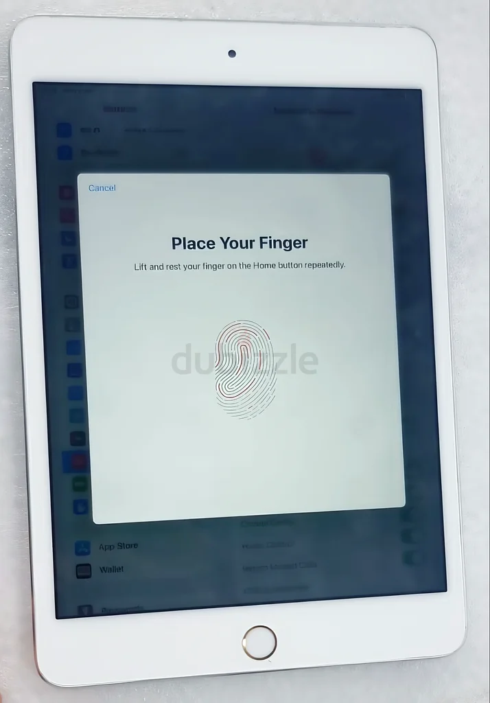 Apple iPad 4 mini - Scrachless  Cheap63214897491713112