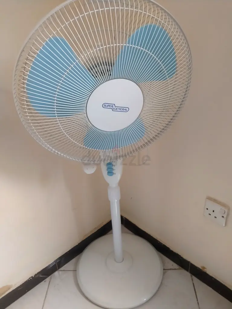 Cool Off This Summer with a Stylish Stand Fan!