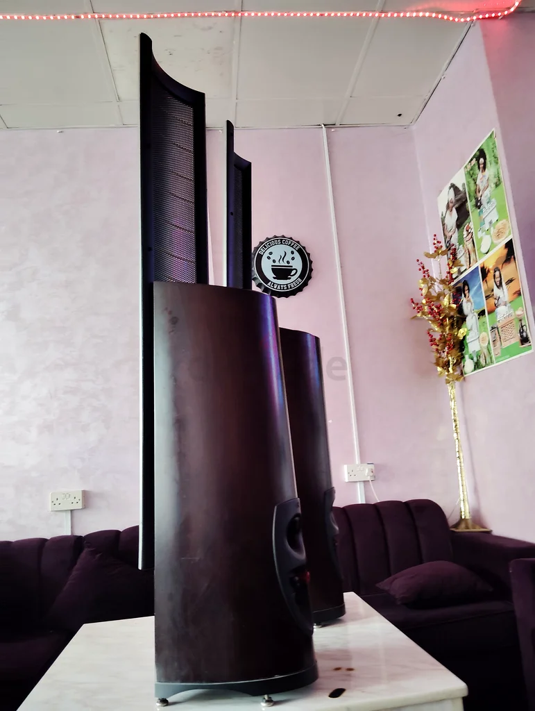 Frequency response 46-22,000 Hz, ±3 dB. Horizontal dispersion 30°. Vertical dispersion. 26 (66 cm)632607450659851126
