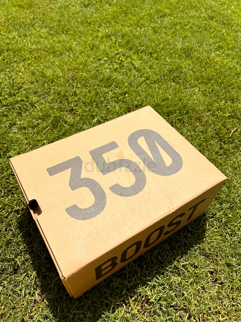YEEZY BOOST 350 V263170859969154111