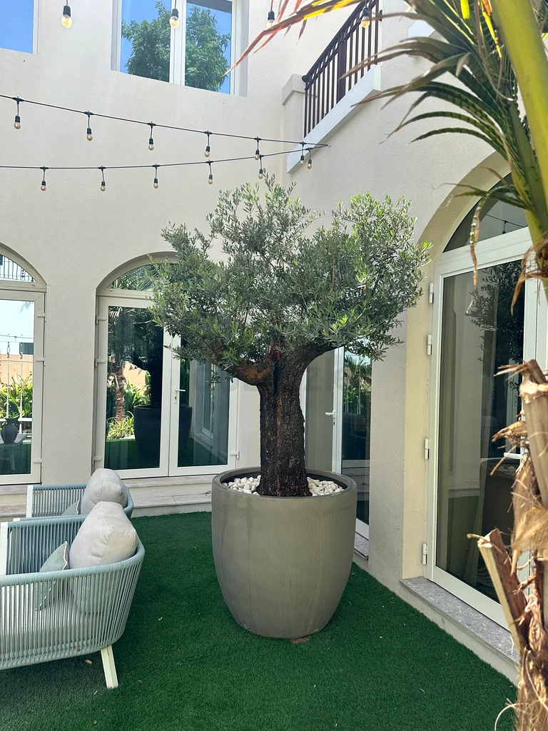 Garden63441099918339112