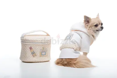 MUST GO! SMALL vanity case (suitable for pets grooming)