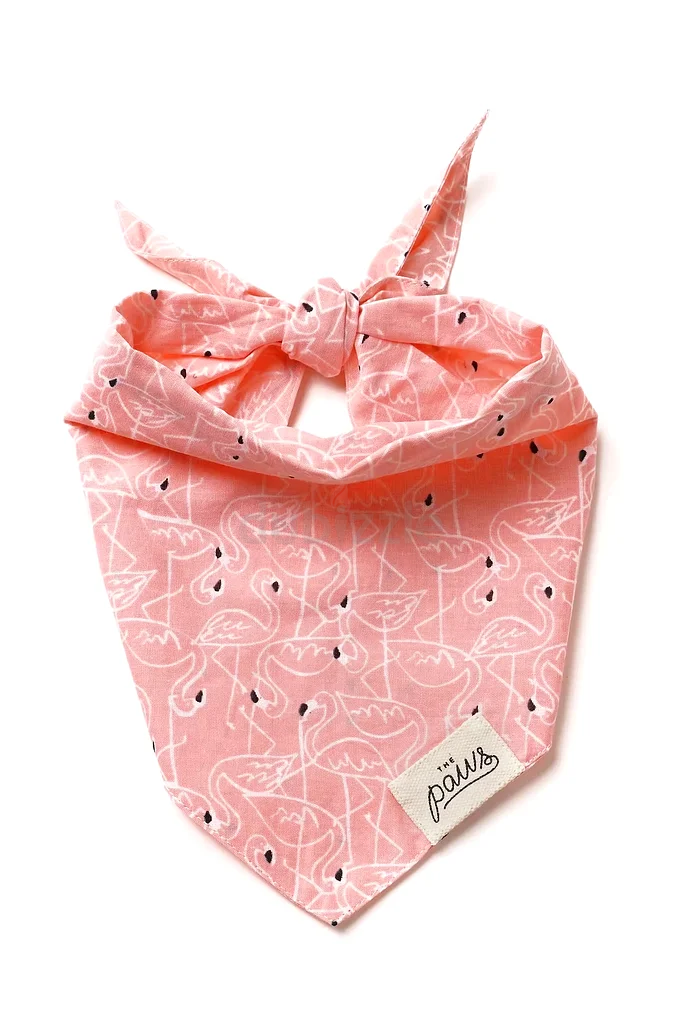 Set of 3 pink bandanas for pets63234134914818118