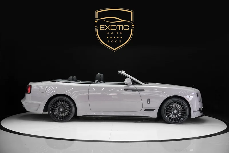 DAWN NOVITEC OVERDOSE - هيكل داخلي وخارجي من ألياف الكربون - 4 أزرار - صوت مخصص - رمادي ناردو63155552475395113