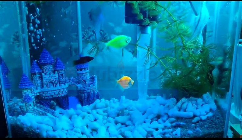 Aquarium With Full Accessories63233126970755110
