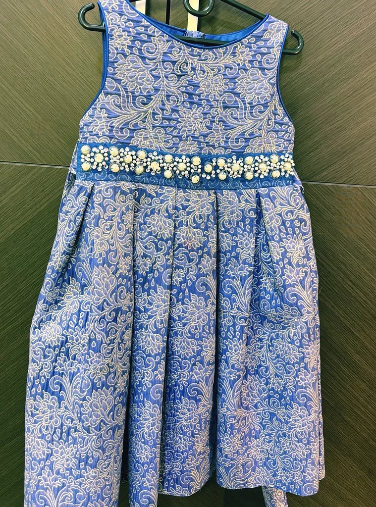 Charming Blue Floral Dress for Your Little Star!63236121003651110