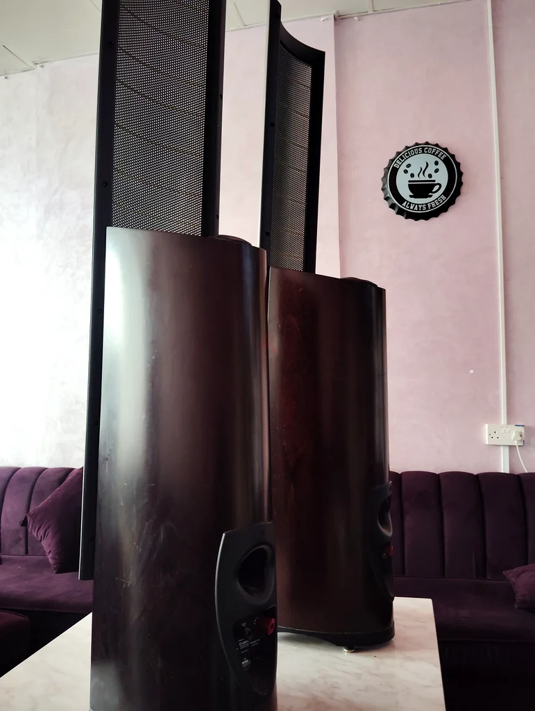 Frequency response 46-22,000 Hz, ±3 dB. Horizontal dispersion 30°. Vertical dispersion. 26 (6663260744449666111