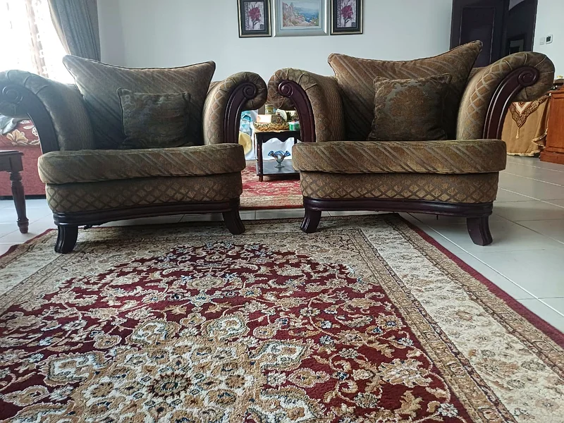 Comfortable, durable, and elegant sofa set with decorative velvet cushions63221849077378112