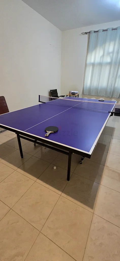 طاولة تنس طاولة احترافية قابلة للطي63243673255555111