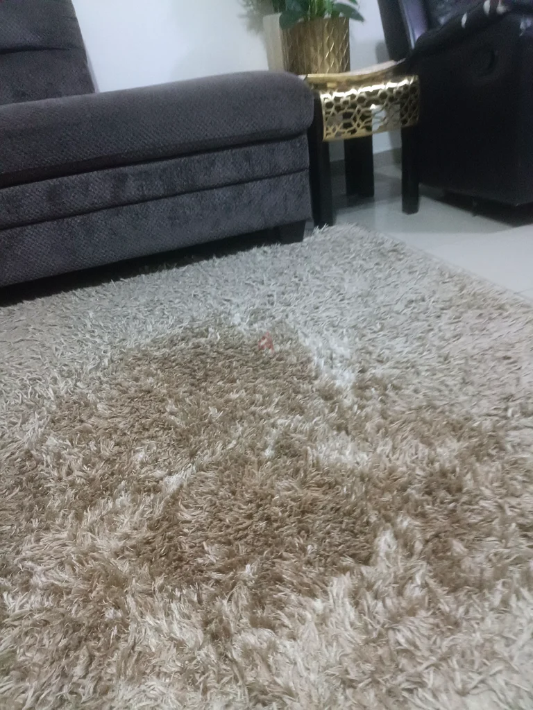 Carpet For Offer63210880005635112