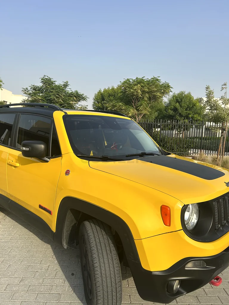 جيب رينيجيد 201763153704798722114