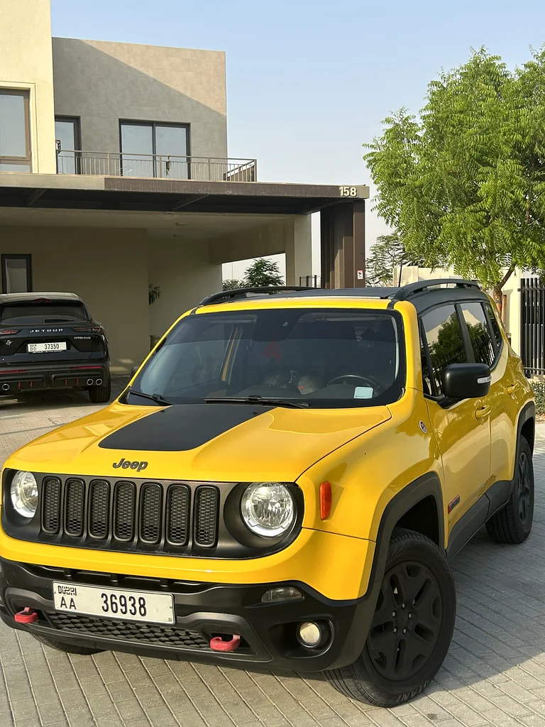 جيب رينيجيد 201763153704798722111
