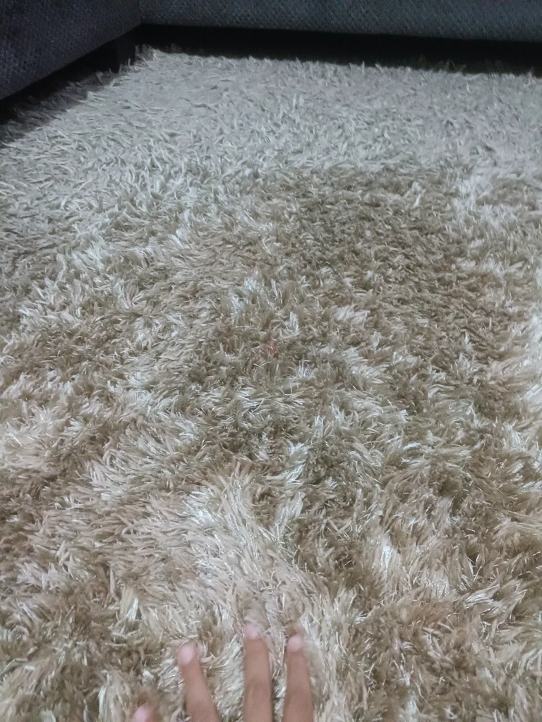 Carpet For Offer63210880005635111