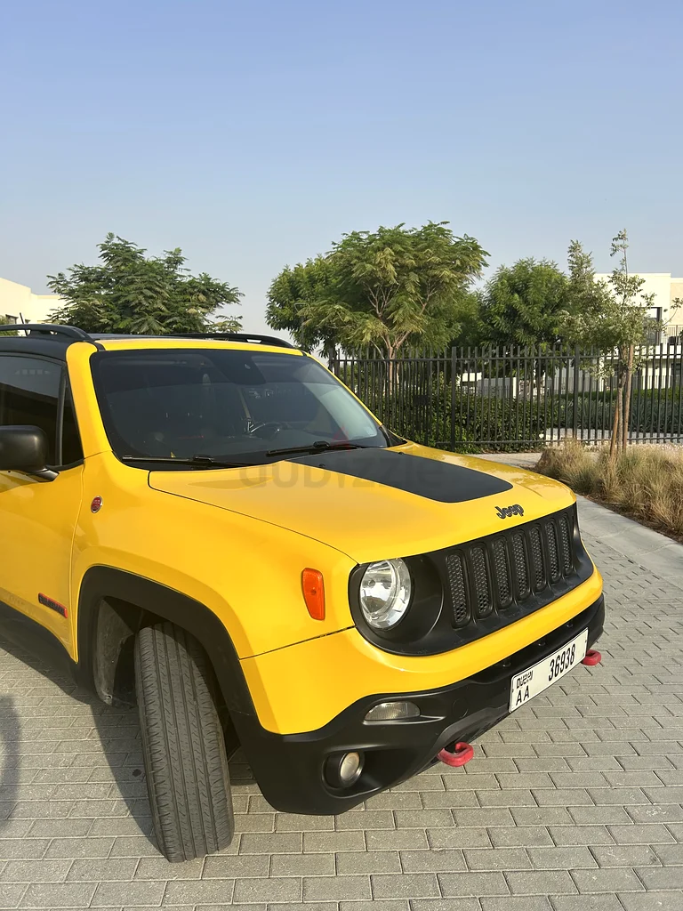 جيب رينيجيد 201763153704798722113
