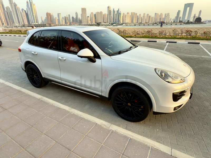 Amazing Porsche Cayenne , Platinum Edition , FSH63150479502339113